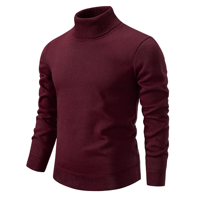 Wool Pullover with Turtleneck for Men
